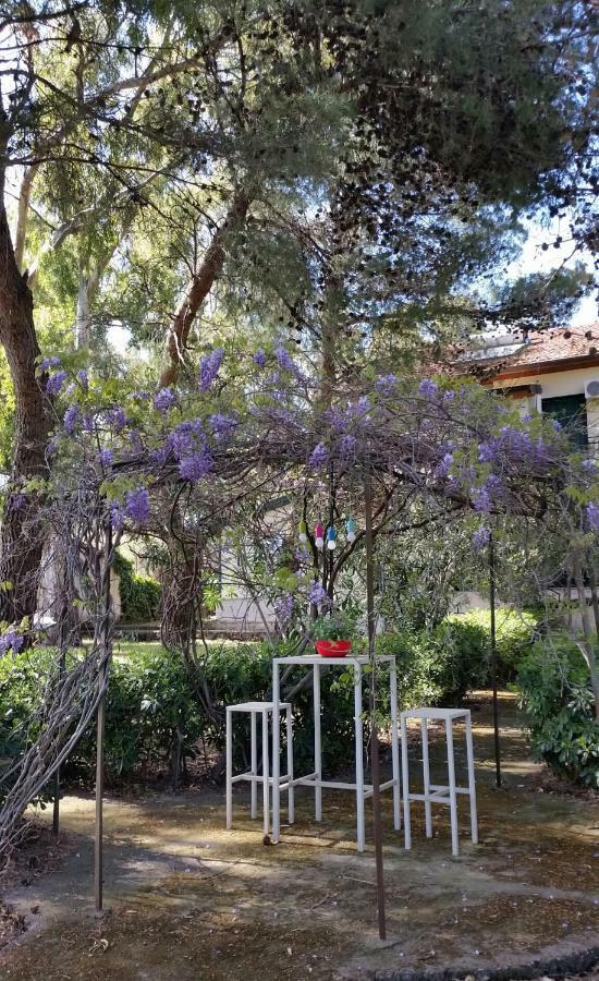 Villa Morgante B&B Pedara Exterior photo